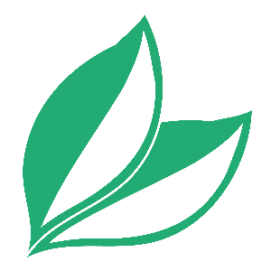 Paracelsus Apotheke Postplatz