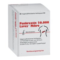 PANKREATIN 20.000 Laves Mikro magensaftr.Hartkaps.