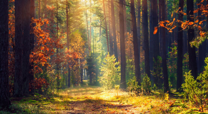 Anzeige: Monatsaktion,Sonniger Herbst, Aktiv durch den Spätsommer