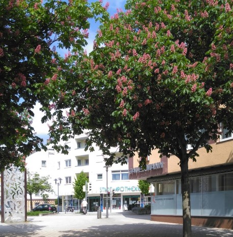 Stadt-Apotheke Wasseralfingen