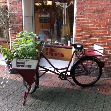Burg-Apotheke